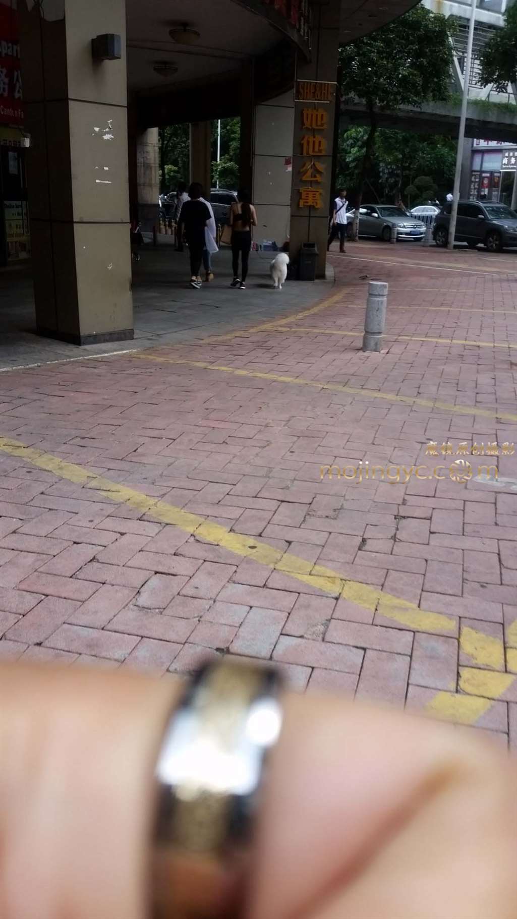 图片[2]-爱健身的MM-街拍流行馆