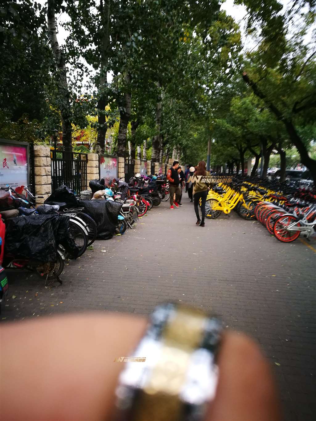 图片[3]-飞行服夹克 小脚仔裤 妹纸-街拍流行馆