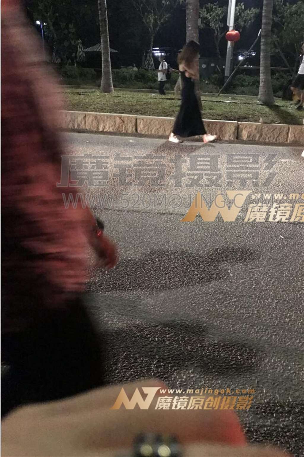 图片[4]-【一只傻麋鹿赛帖】昙花一现，宛如一梦-流行馆