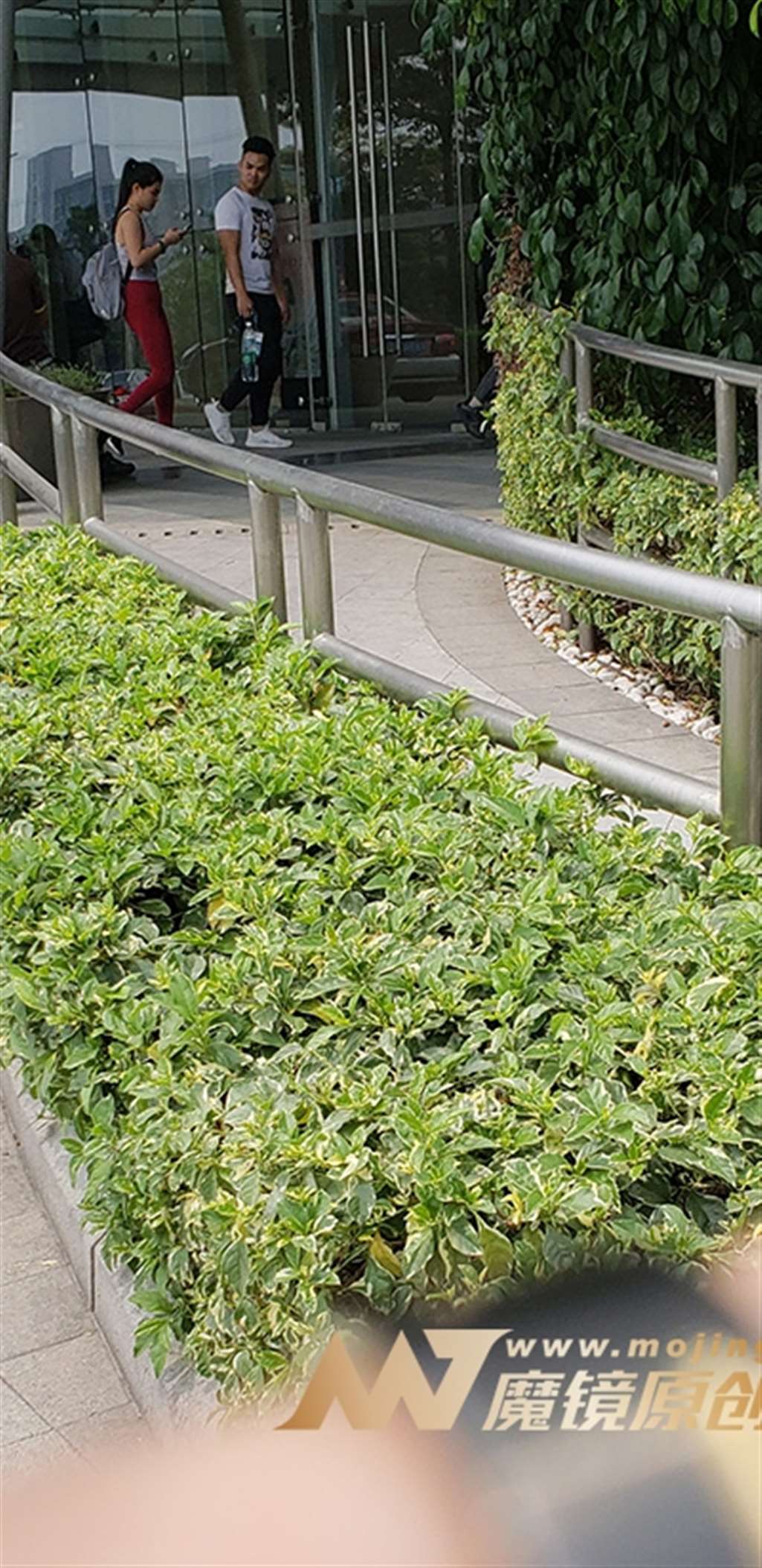 图片[3]-【凯恩赛帖】养眼的性感健身裤-流行馆