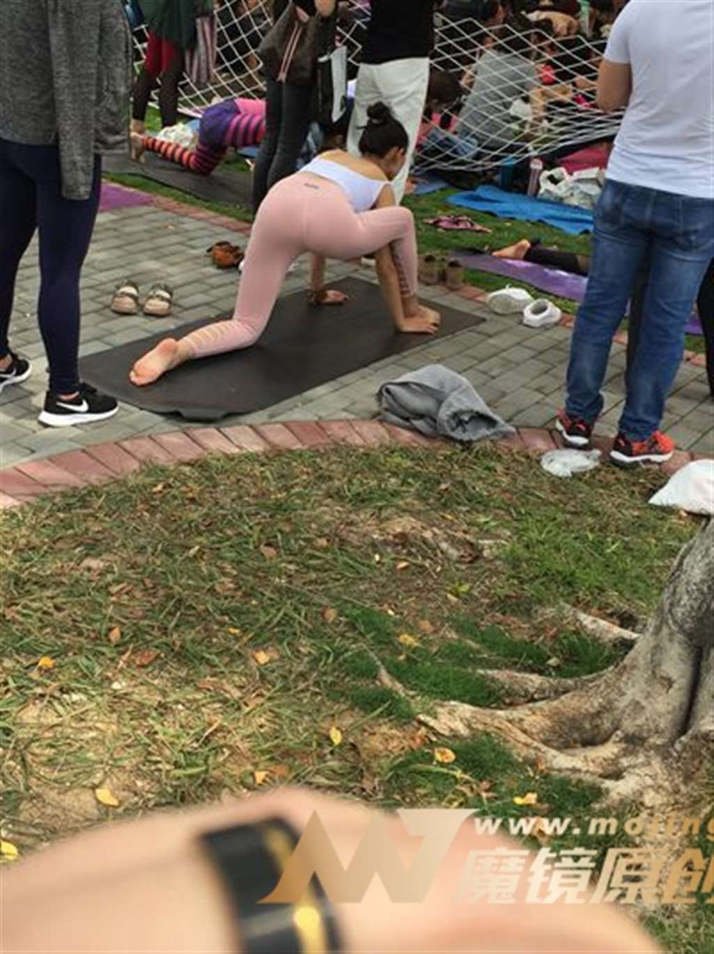 图片[3]-【神摄手赛帖】你是如此的优雅-流行馆