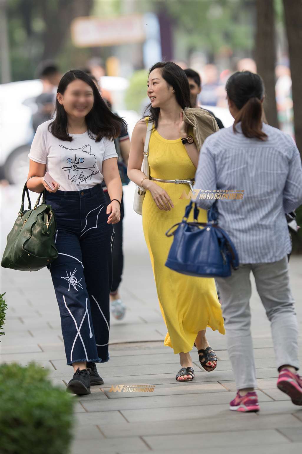图片[5]-【一只傻麋鹿赛帖】曼妙与光影-流行馆