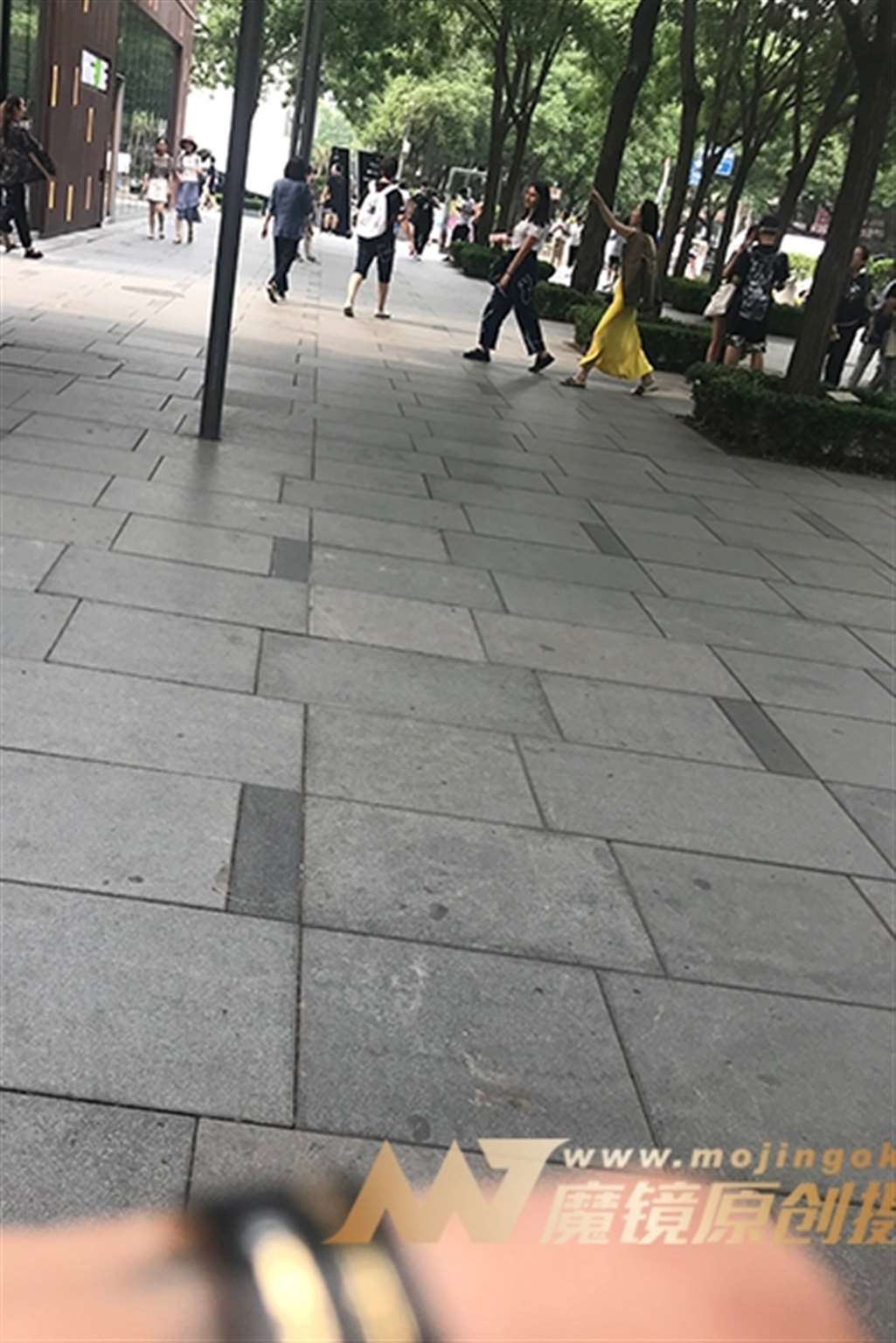 图片[3]-【一只傻麋鹿赛帖】曼妙与光影-流行馆
