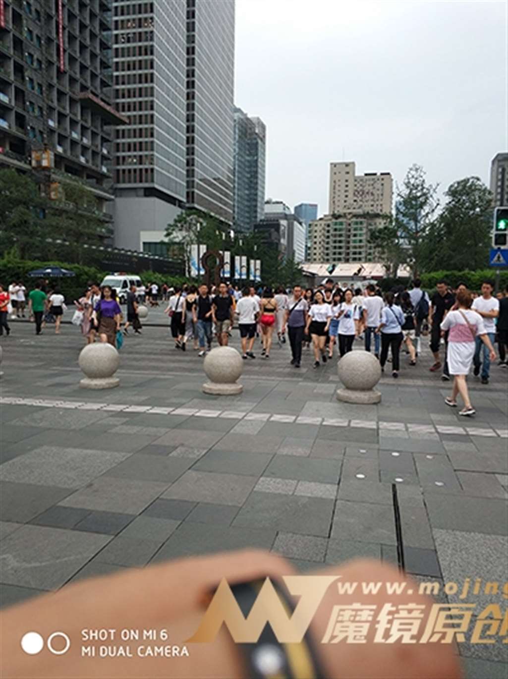图片[3]-【久久赛帖】万绿丛中一点红-流行馆