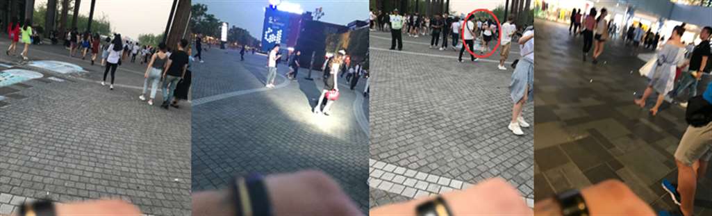 图片[2]-【一只傻麋鹿赛帖】一闪而过的灿烂繁花-流行馆