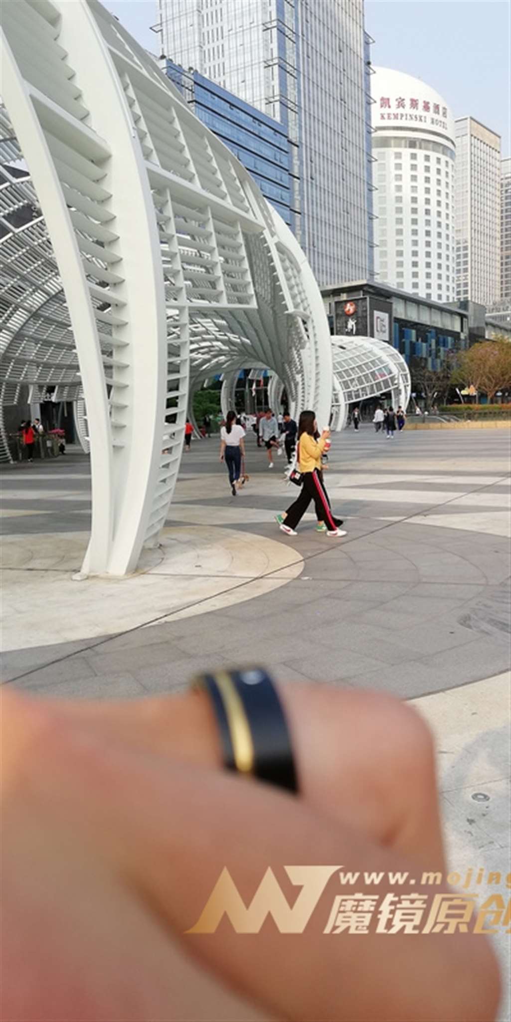 图片[3]-【视觉冲击赛帖】美美哒，遛狗 紧牛美女-流行馆