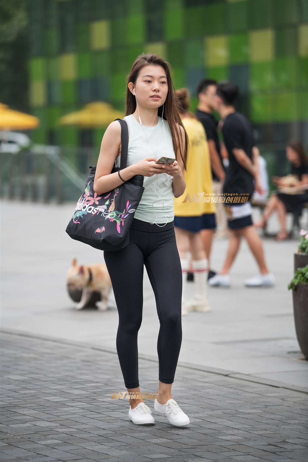 【一只傻麋鹿赛帖】匆匆而过-流行馆