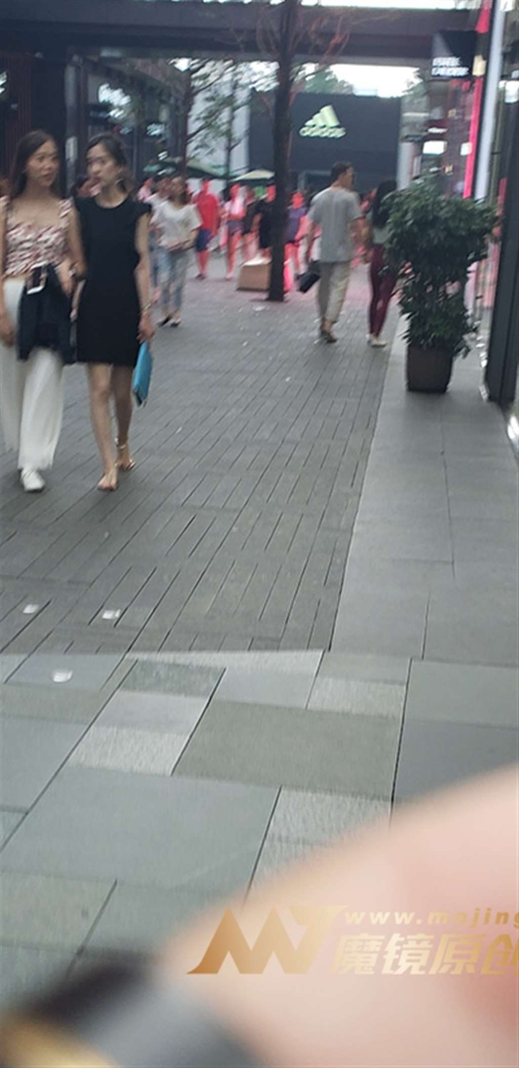 图片[3]-【凯恩赛帖】健身美眉 紧身裤也藏不住的身材-流行馆