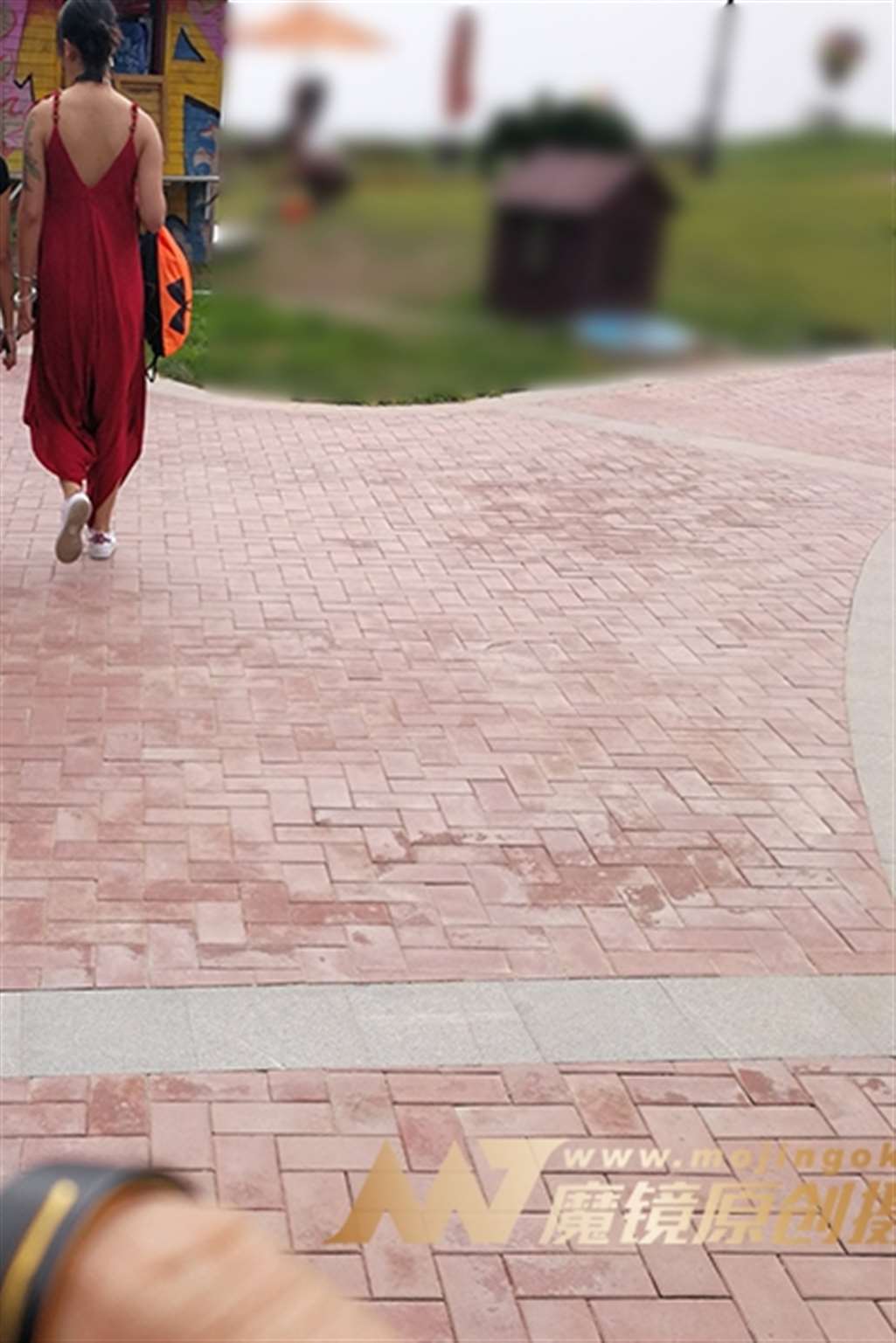 图片[3]-【小默赛帖】第1157篇万绿丛中，一点红-流行馆