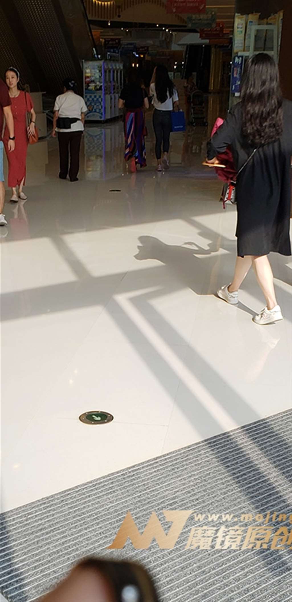 图片[3]-【凯恩赛帖】简洁T恤搭配紧身裤 带来清凉感-流行馆