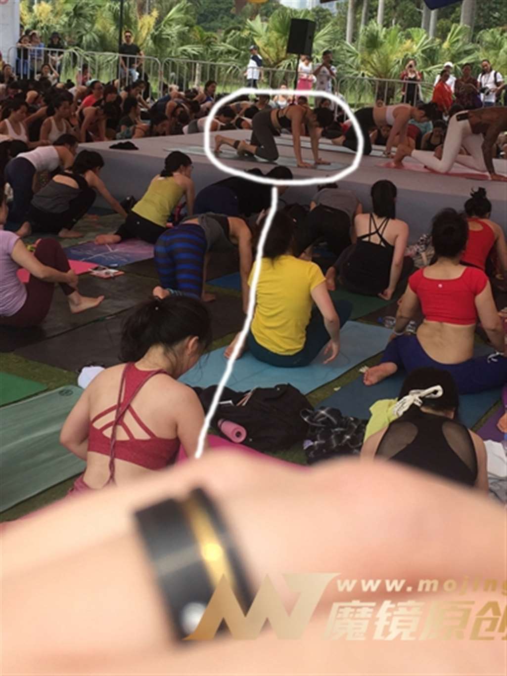 图片[3]-【神摄手赛帖】靓丽展示-流行馆