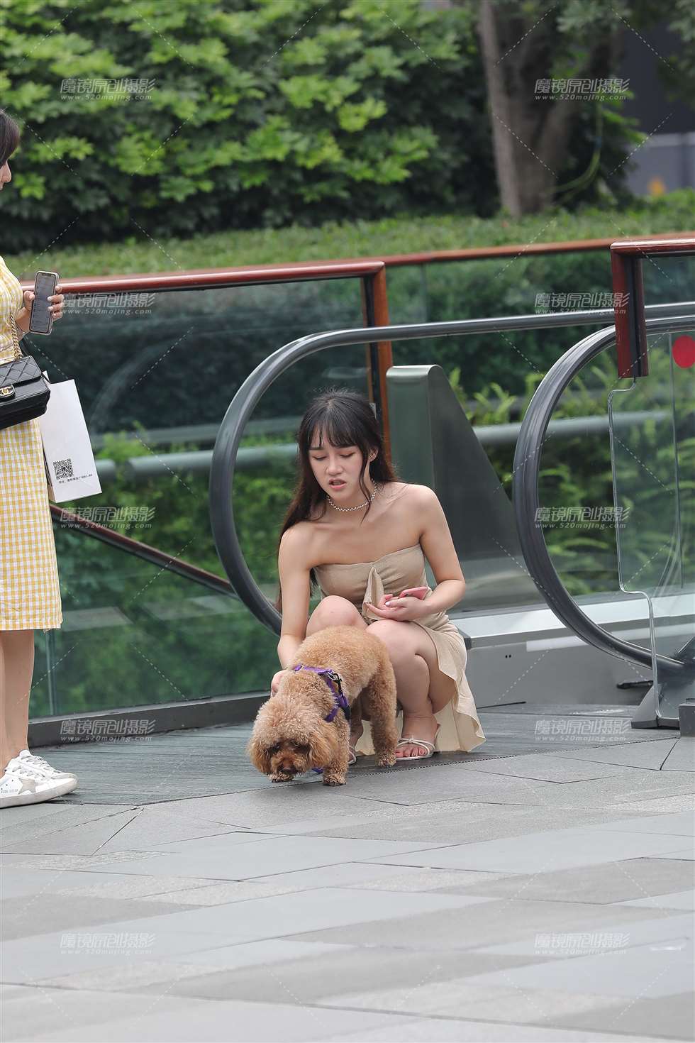 图片[2]-溜狗-街拍流行馆