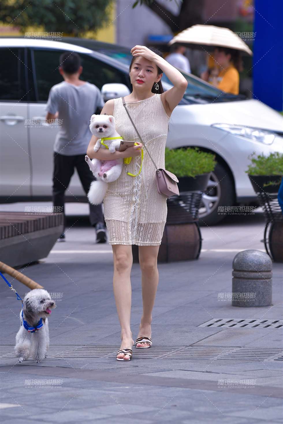 图片[4]-【视觉冲击赛贴】遛狗美女，迷倒我了~-街拍流行馆