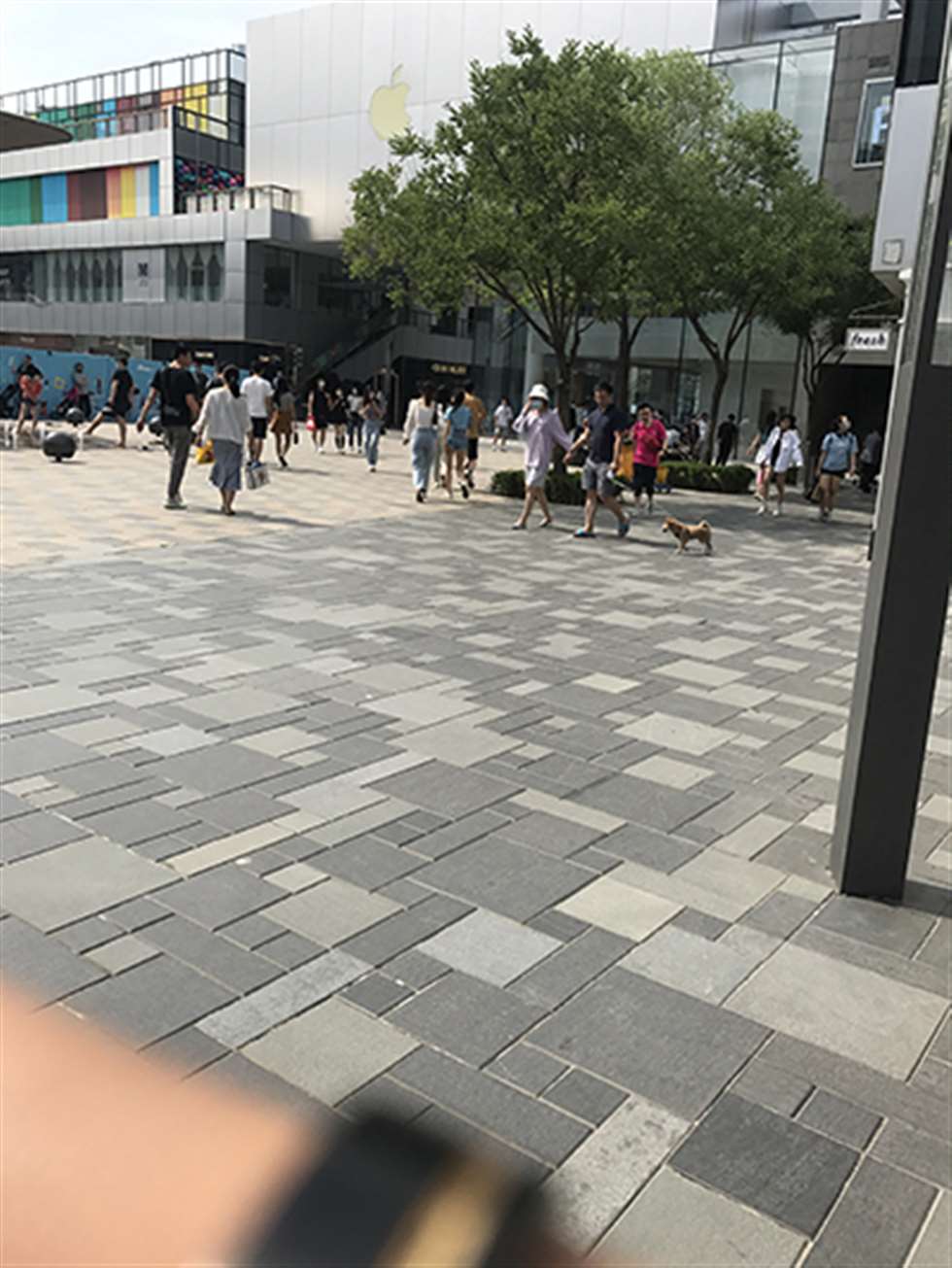 图片[3]-【玻璃赛帖】阳光下的热裤小妹-街拍流行馆