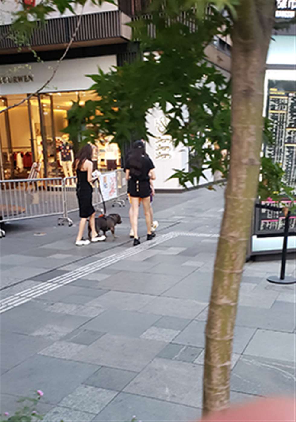 图片[3]-路边偶遇遛狗美眉-街拍流行馆