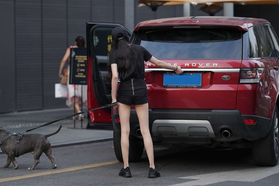 图片[4]-路边偶遇遛狗美眉-街拍流行馆