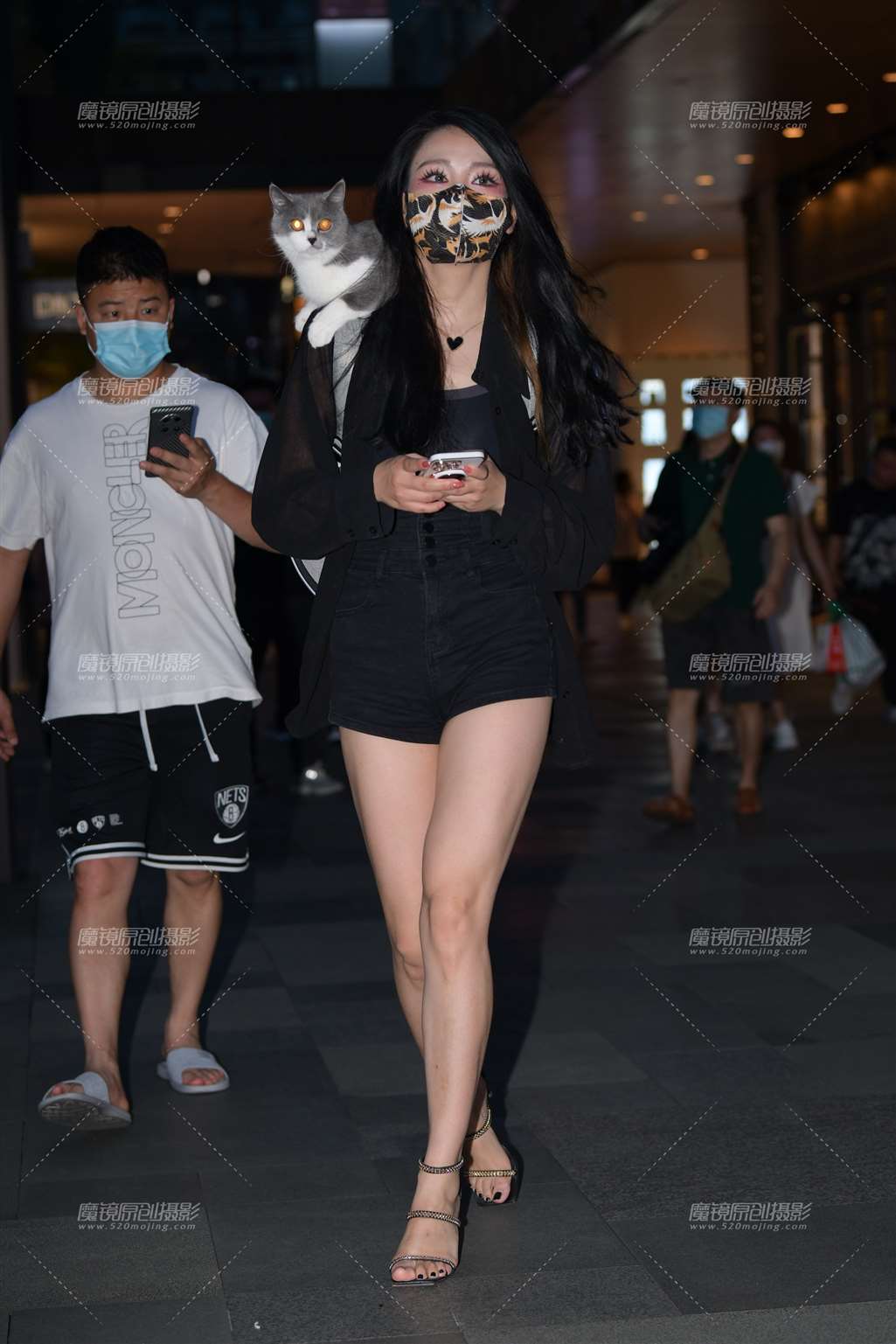 图片[1]-可爱猫-街拍流行馆